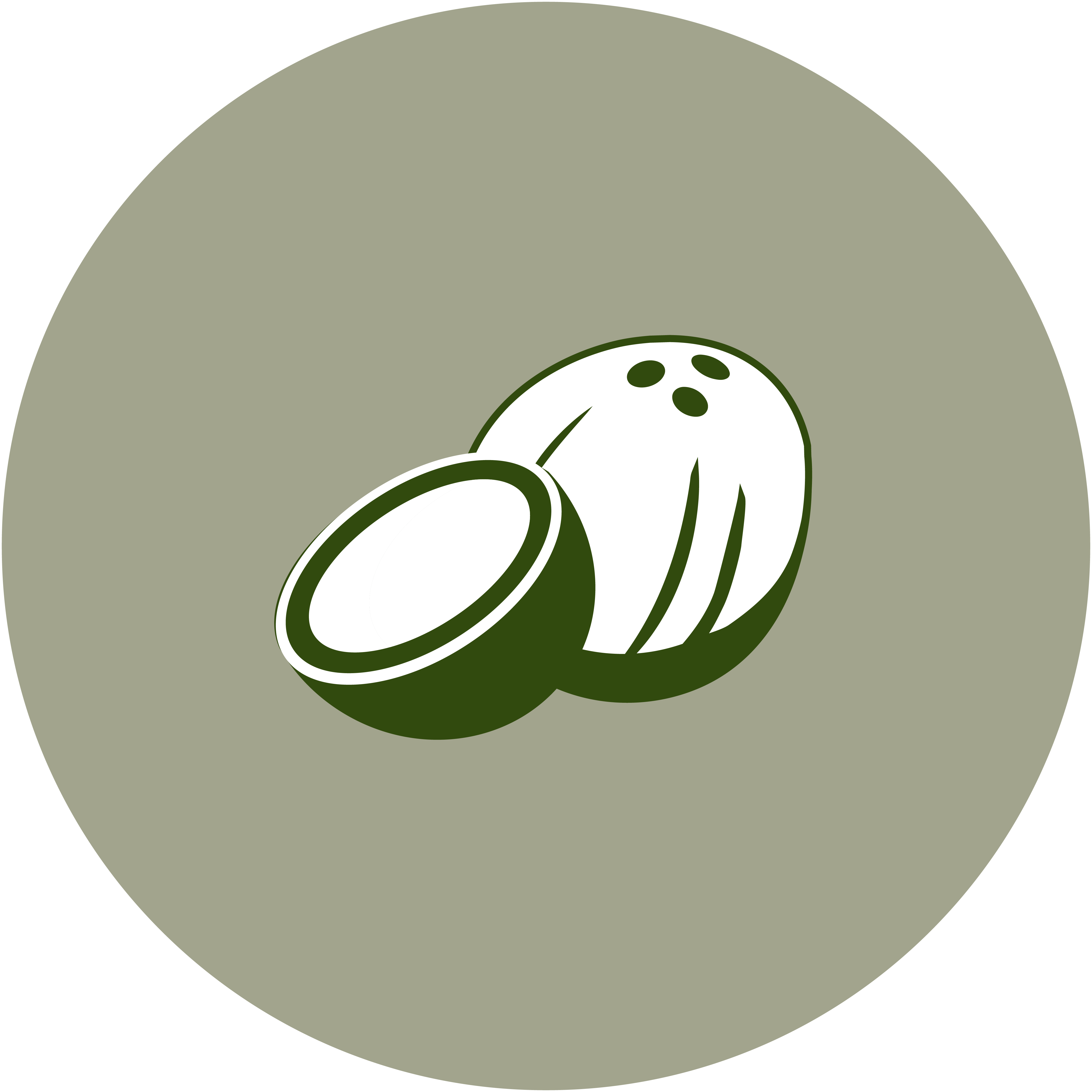 Coconut